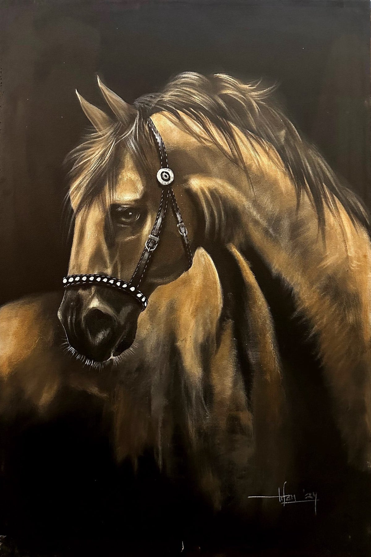 Irfan Ahmed golden Arabian horse with bridle black background oil on canvas 24x36 inches