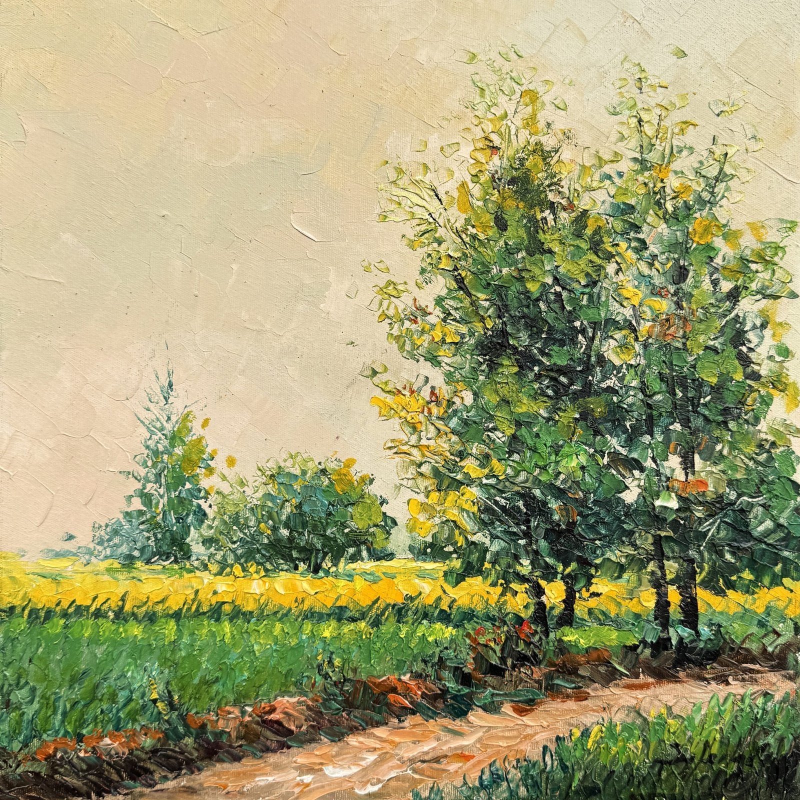 Zafar Iqbal Khan | Title: Fields of Spring Light | Medium: Oil On Canvas | Size: 14x14 inches