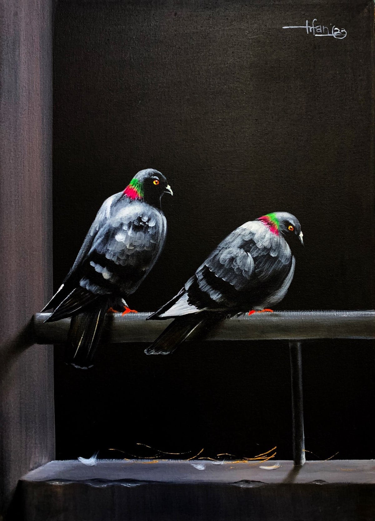 Irfan Ahmed 16x22 oil on canvas - pair of pigeons perched painting