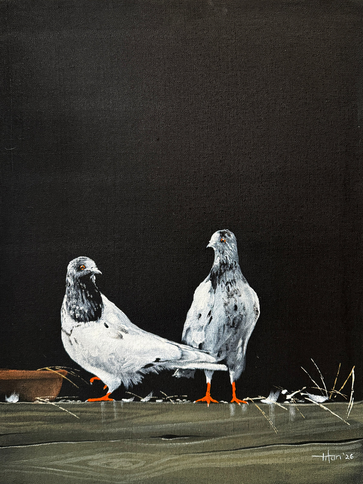 Irfan Ahmed two white pigeons pair night black background oil on canvas 18x24 inches