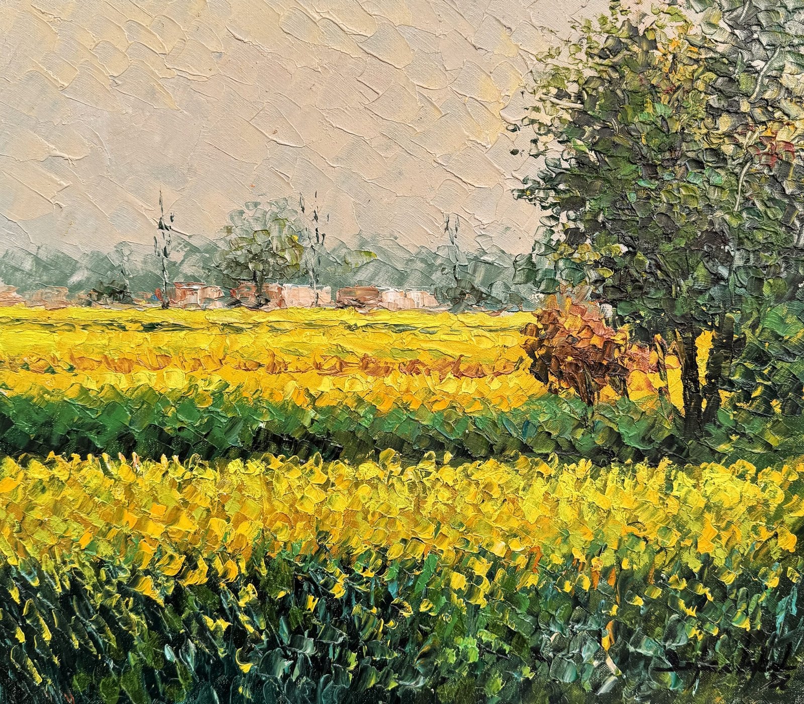 Zafar Iqbal Khan | Title:  Golden Bloom Fields | Medium: Oil On Canvas | Size: 14x16 inches